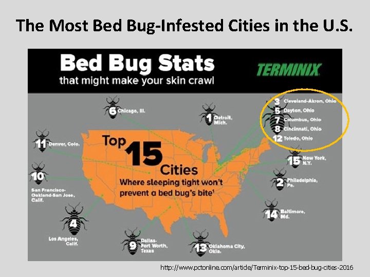 The Most Bed Bug-Infested Cities in the U. S. http: //www. pctonline. com/article/Terminix-top-15 -bed-bug-cities-2016