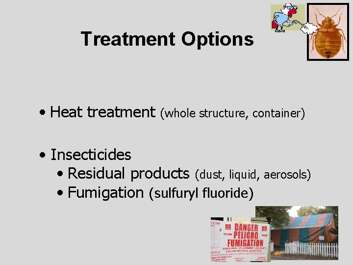 Treatment Options • Heat treatment (whole structure, container) • Insecticides • Residual products (dust,