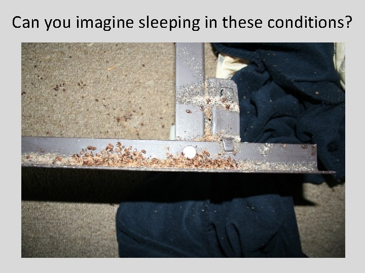 Can you imagine sleeping in these conditions? 