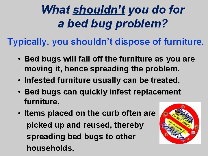 What shouldn’t you do for a bed bug problem? Typically, you shouldn’t dispose of