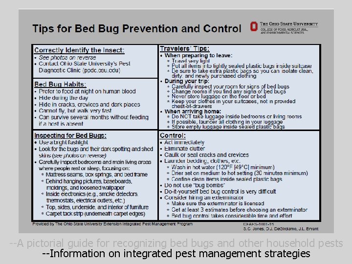 --A pictorial guide for recognizing bed bugs and other household pests --Information on integrated