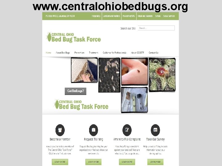 www. centralohiobedbugs. org 