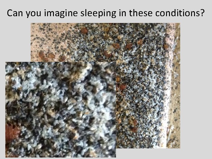 Can you imagine sleeping in these conditions? 