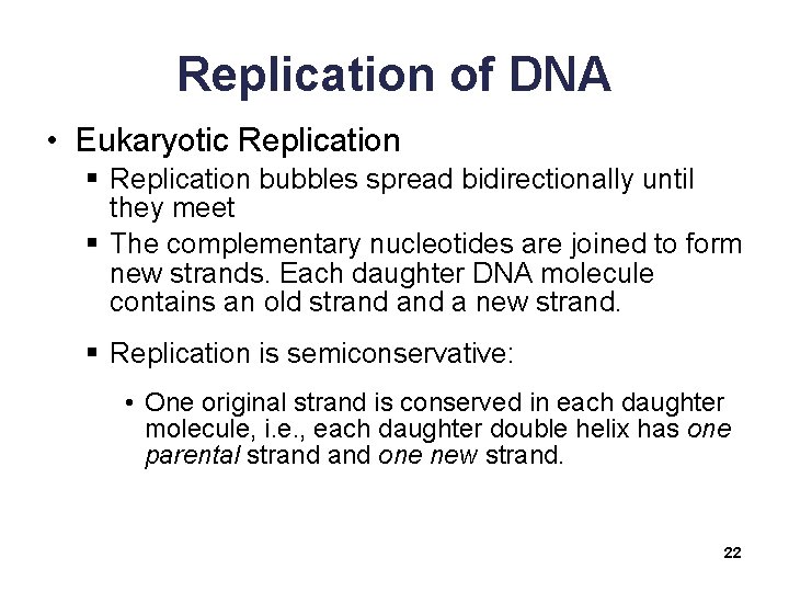 Replication of DNA • Eukaryotic Replication § Replication bubbles spread bidirectionally until they meet