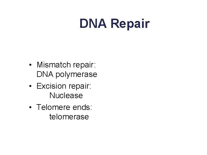 DNA Repair • Mismatch repair: DNA polymerase • Excision repair: Nuclease • Telomere ends:
