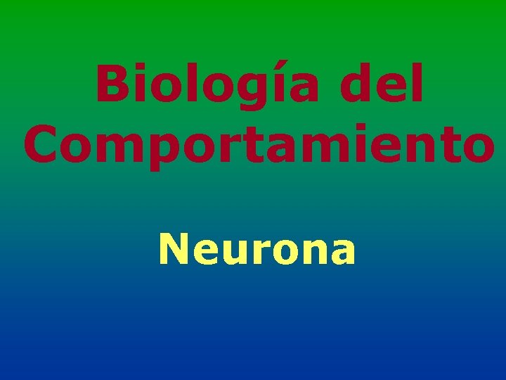 Biología del Comportamiento Neurona 