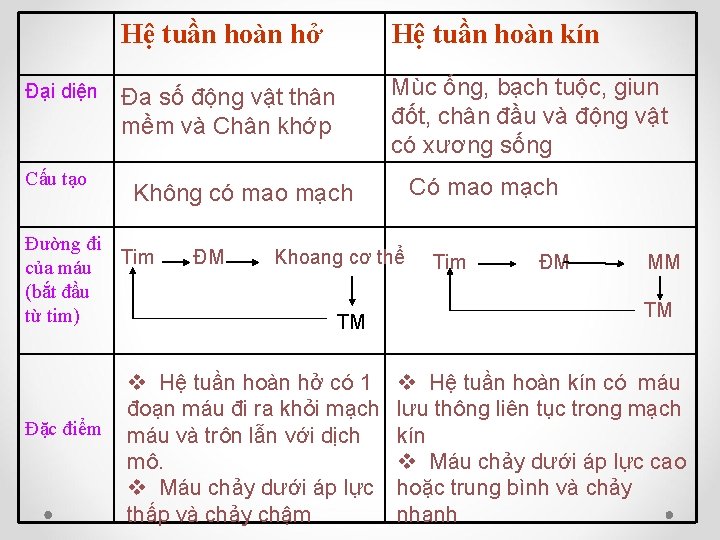 Đại diện Cấu tạo Hệ tuần hoàn hở Hệ tuần hoàn kín Đa số