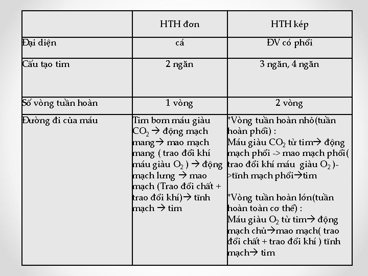  HTH đơn HTH kép cá ĐV có phổi Cấu tạo tim 2 ngăn