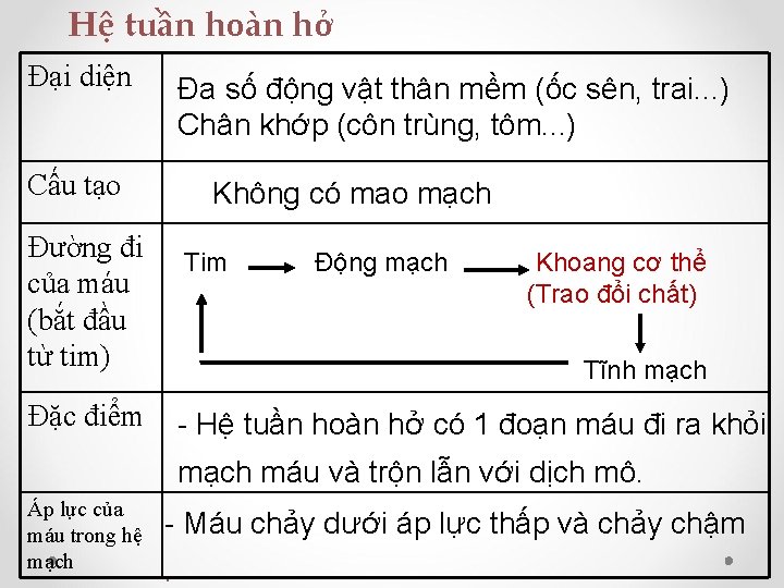  Hệ tuần hoàn hở Đại diện Đa số động vật thân mềm (ốc