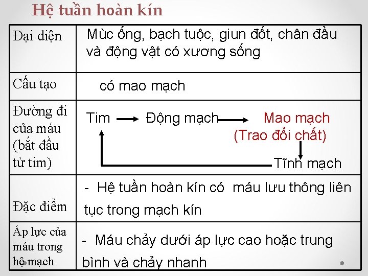  Hệ tuần hoàn kín Đại diện Cấu tạo Đường đi của máu (bắt
