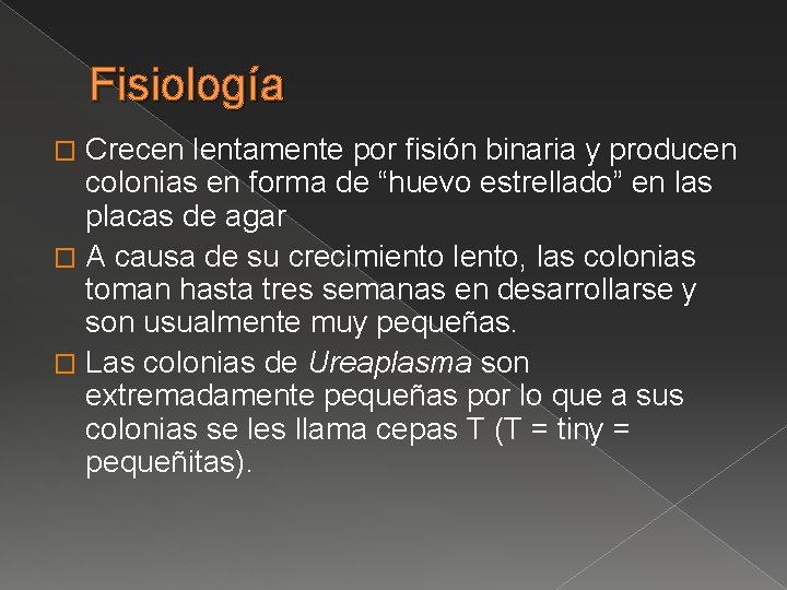 Fisiología Crecen lentamente por fisión binaria y producen colonias en forma de “huevo estrellado”