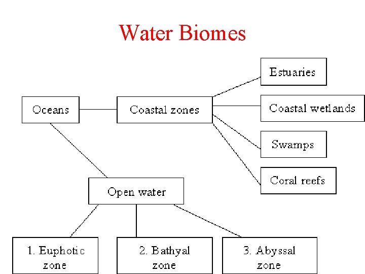 Water Biomes 