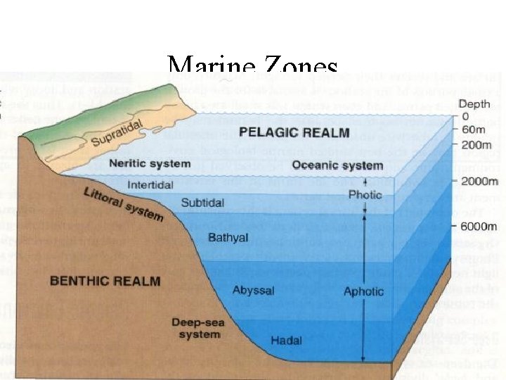 Marine Zones 