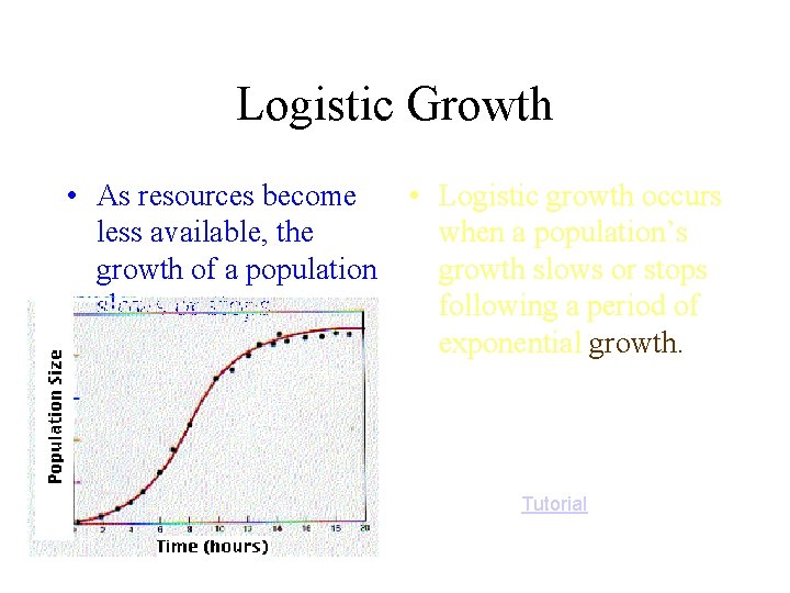 Logistic Growth • As resources become less available, the growth of a population slows