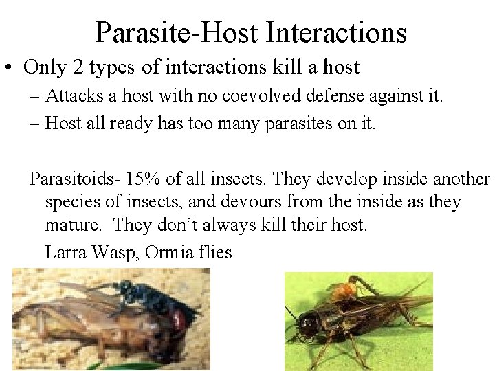 Parasite-Host Interactions • Only 2 types of interactions kill a host – Attacks a