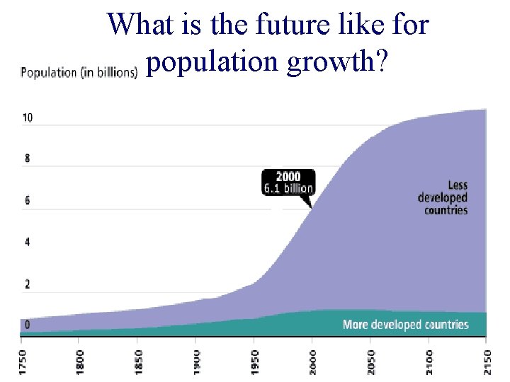 What is the future like for population growth? 
