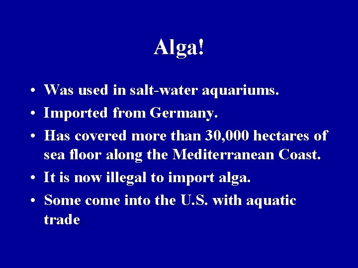 Alga! • Was used in salt-water aquariums. • Imported from Germany. • Has covered
