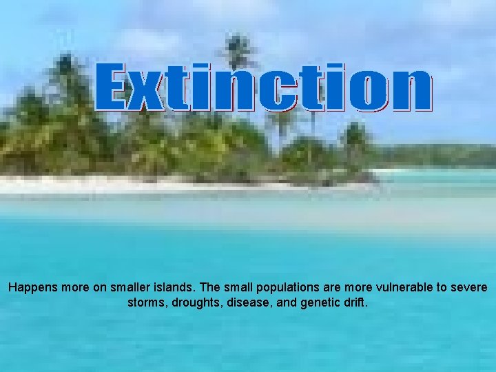 Happens more on smaller islands. The small populations are more vulnerable to severe storms,