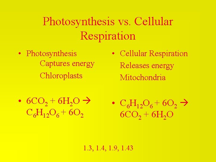 Photosynthesis vs. Cellular Respiration • Photosynthesis Captures energy Chloroplasts • Cellular Respiration Releases energy