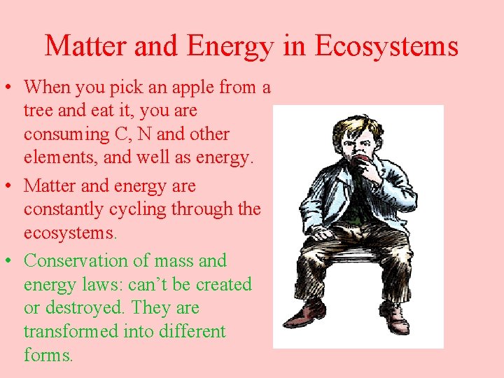 Matter and Energy in Ecosystems • When you pick an apple from a tree