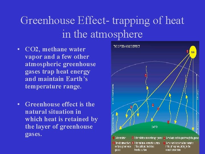 Greenhouse Effect- trapping of heat in the atmosphere • CO 2, methane water vapor