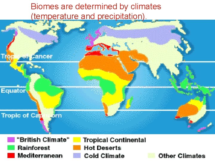 Biomes are determined by climates (temperature and precipitation). 