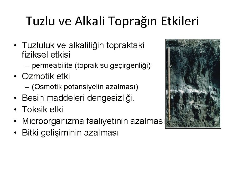 Tuzlu ve Alkali Toprağın Etkileri • Tuzluluk ve alkaliliğin topraktaki fiziksel etkisi – permeabilite