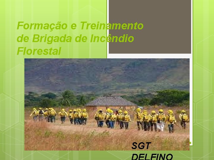 Formação e Treinamento de Brigada de Incêndio Florestal SGT 