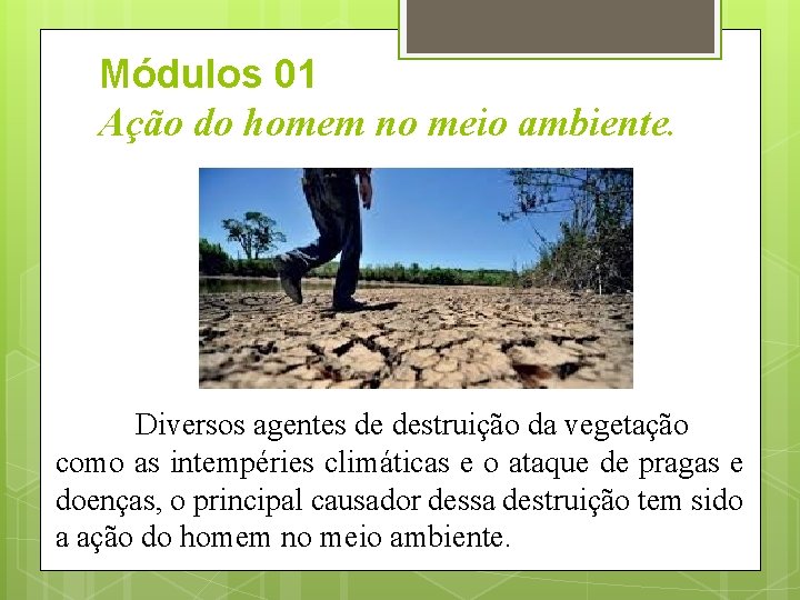 Módulos 01 Ação do homem no meio ambiente. Diversos agentes de destruição da vegetação