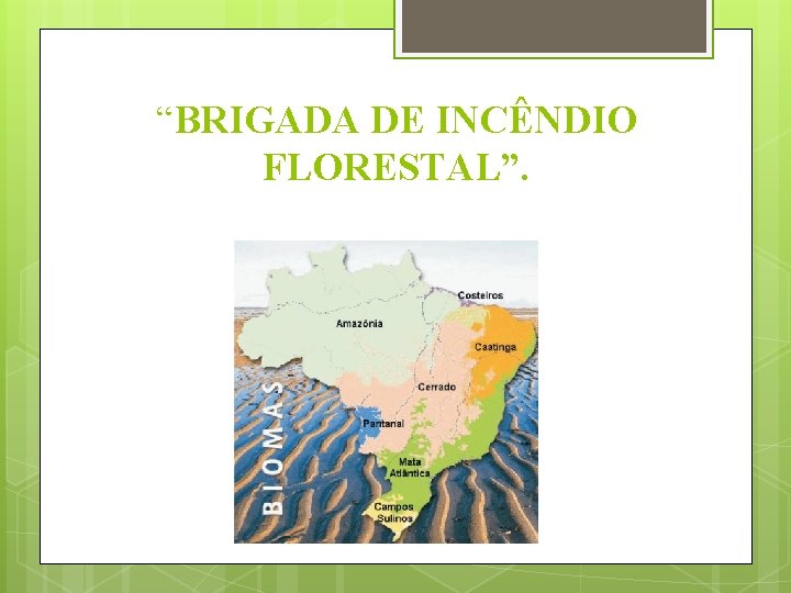“BRIGADA DE INCÊNDIO FLORESTAL”. 