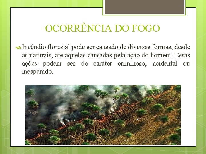 OCORRÊNCIA DO FOGO Incêndio florestal pode ser causado de diversas formas, desde as naturais,