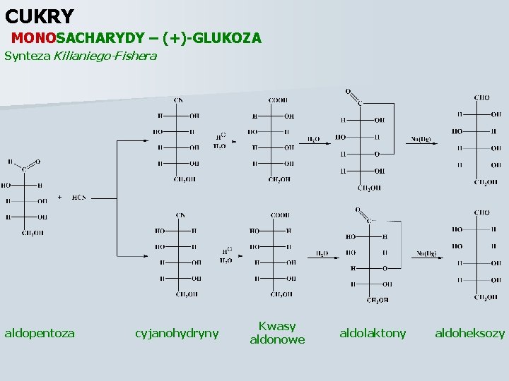 CUKRY MONOSACHARYDY – (+)-GLUKOZA Synteza Kilianiego-Fishera aldopentoza cyjanohydryny Kwasy aldonowe aldolaktony aldoheksozy 