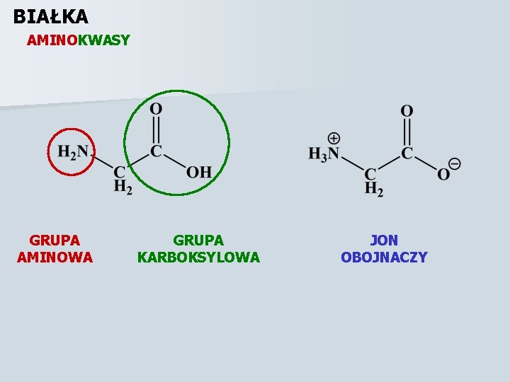 BIAŁKA AMINOKWASY GRUPA AMINOWA GRUPA KARBOKSYLOWA JON OBOJNACZY 