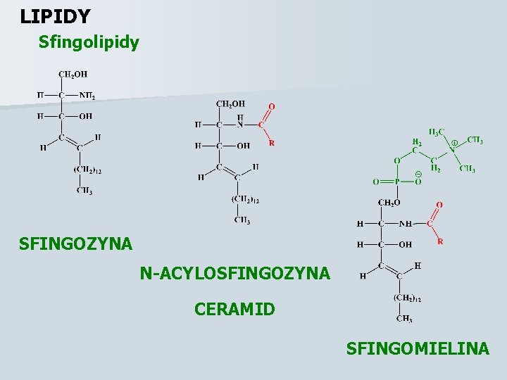 LIPIDY Sfingolipidy SFINGOZYNA N-ACYLOSFINGOZYNA CERAMID SFINGOMIELINA 