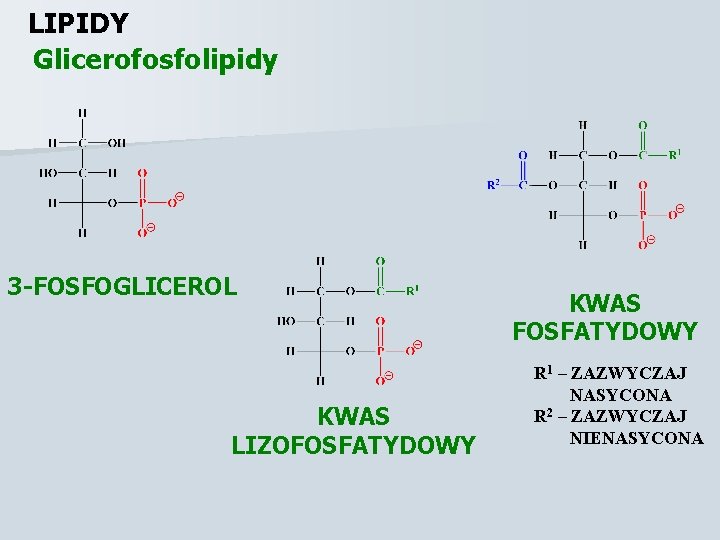 LIPIDY Glicerofosfolipidy 3 -FOSFOGLICEROL KWAS LIZOFOSFATYDOWY KWAS FOSFATYDOWY R 1 – ZAZWYCZAJ NASYCONA R