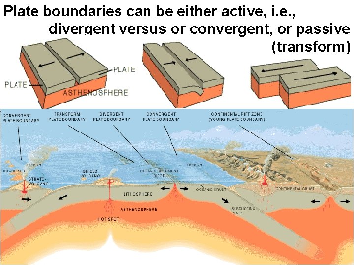 Plate boundaries can be either active, i. e. , divergent versus or convergent, or