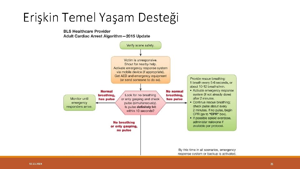 Erişkin Temel Yaşam Desteği 02. 11. 2015 21 