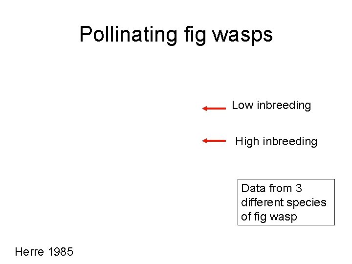 Pollinating fig wasps Low inbreeding High inbreeding Data from 3 different species of fig