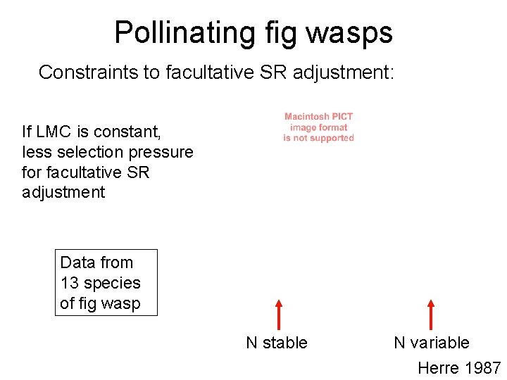 Pollinating fig wasps Constraints to facultative SR adjustment: If LMC is constant, less selection