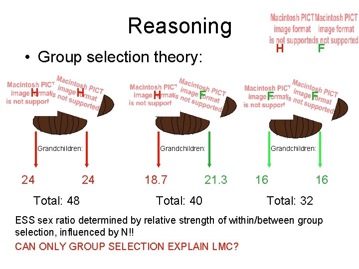 Reasoning H • Group selection theory: H H Grandchildren: 24 Total: 48 24 H