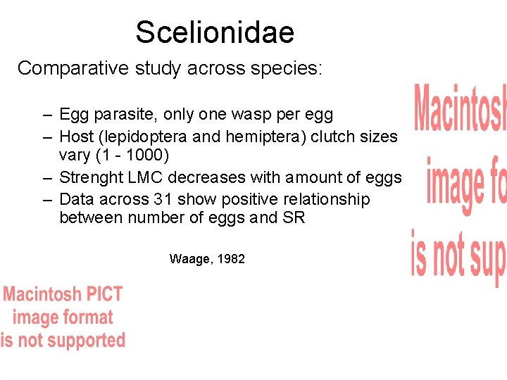 Scelionidae Comparative study across species: – Egg parasite, only one wasp per egg –