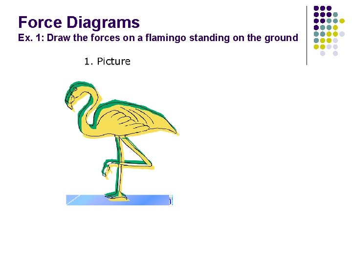 Force Diagrams Ex. 1: Draw the forces on a flamingo standing on the ground
