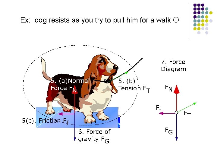 Ex: dog resists as you try to pull him for a walk 