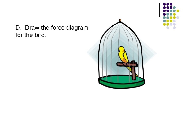 D. Draw the force diagram for the bird. 