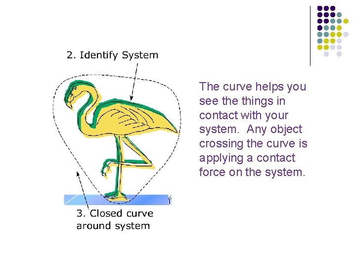 The curve helps you see things in contact with your system. Any object crossing