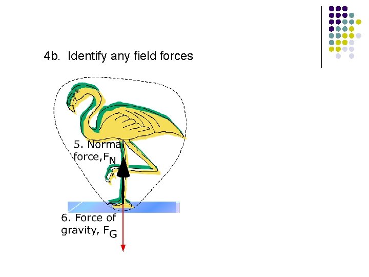 4 b. Identify any field forces 