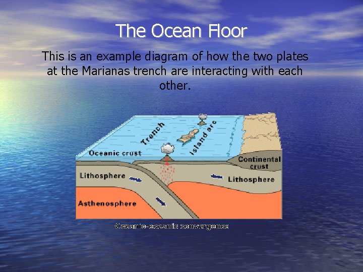 The Ocean Floor This is an example diagram of how the two plates at