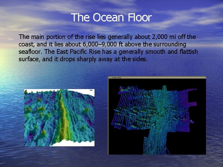 The Ocean Floor The main portion of the rise lies generally about 2, 000