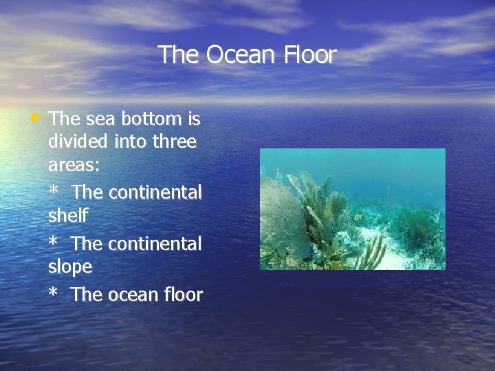 The Ocean Floor • The sea bottom is divided into three areas: * The