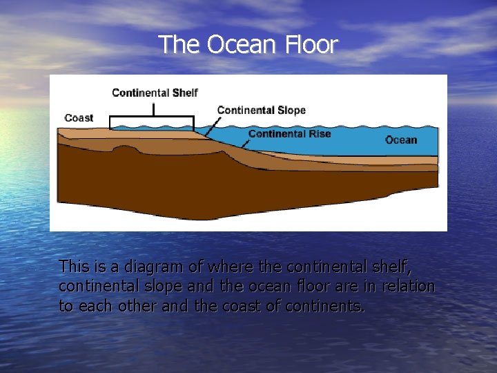 The Ocean Floor This is a diagram of where the continental shelf, continental slope